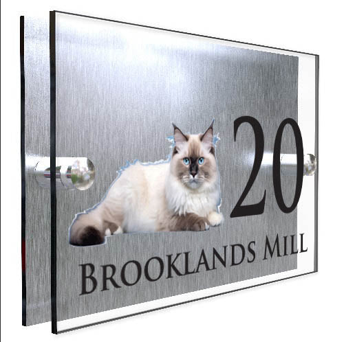 Personalised Cat Plaque With House Number And Street Name Ragdoll