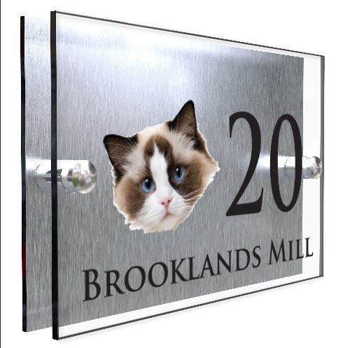 Personalised Cat Plaque With House Number And Street Name Ragdoll