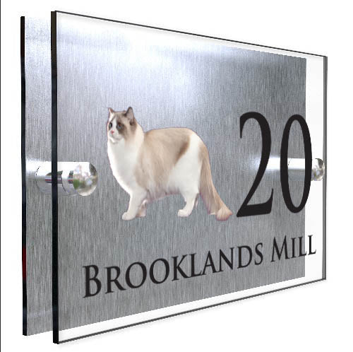 Personalised Cat Plaque With House Number And Street Name Ragdoll