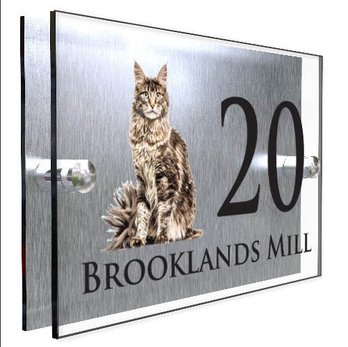 Personalised Cat Plaque With House Number And Street Name Maine Coon