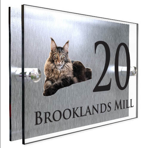 Personalised Cat Plaque With House Number And Street Name Maine Coon