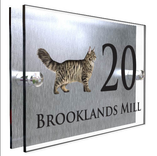 Personalised Cat Plaque With House Number And Street Name Maine Coon