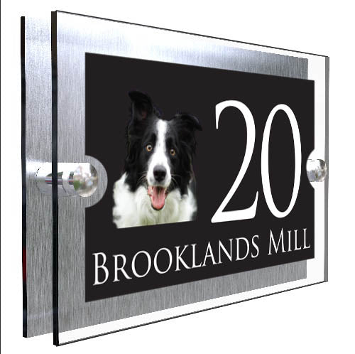 Personalised Dog Plaque With House Number And Street Name Border Collie