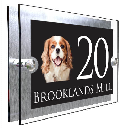 Personalised Dog Plaque With House Number And Street Name King Charles Spaniel