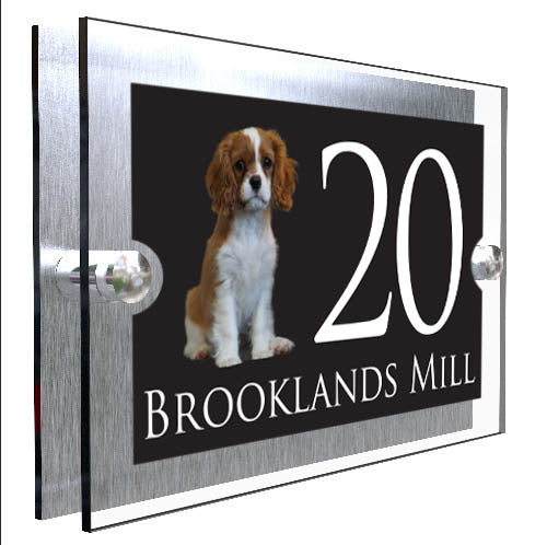 Personalised Dog Plaque With House Number And Street Name King Charles Spaniel