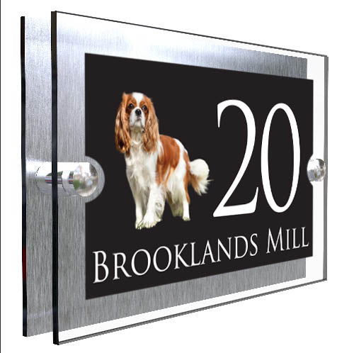 Personalised Dog Plaque With House Number And Street Name King Charles Spaniel