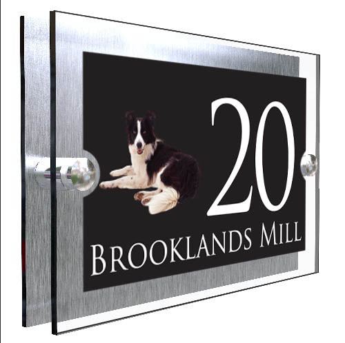 Personalised Dog Plaque With House Number And Street Name Border Collie