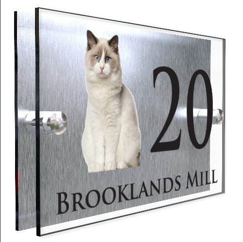 Personalised Cat Plaque With House Number And Street Name Ragdoll