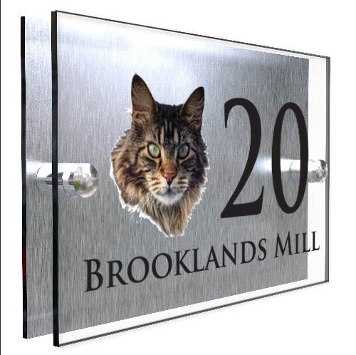 Personalised Cat Plaque With House Number And Street Name Maine Coon