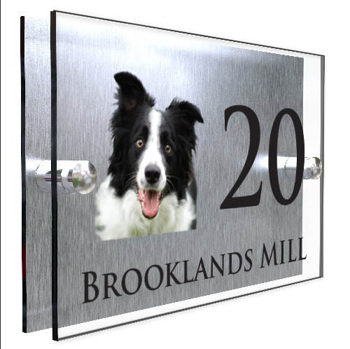 Personalised Dog Plaque With House Number And Street Name Border Collie