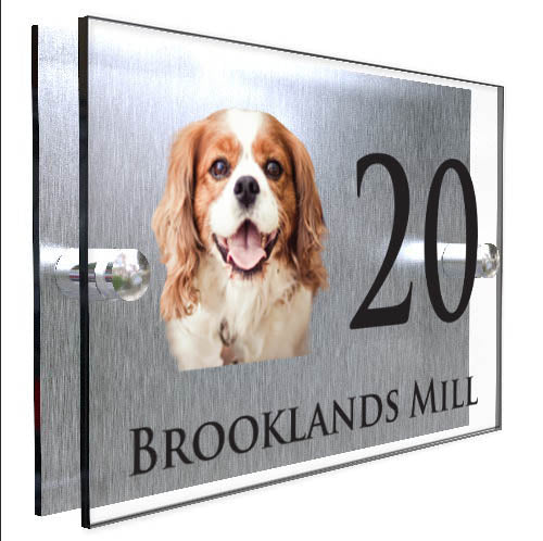 Personalised Dog Plaque With House Number And Street Name King Charles Spaniel