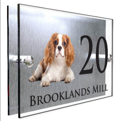 Personalised Dog Plaque With House Number And Street Name King Charles Spaniel