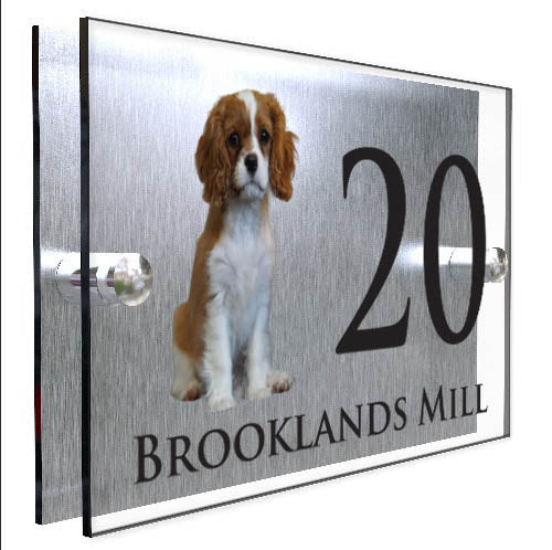 Personalised Dog Plaque With House Number And Street Name King Charles Spaniel