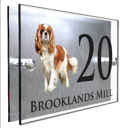 Personalised Dog Plaque With House Number And Street Name King Charles Spaniel